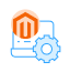 Magento Development