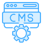 CMS Development CMS Development