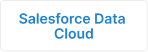 Salesforce Data Cloud