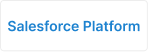 Salesforce Platform