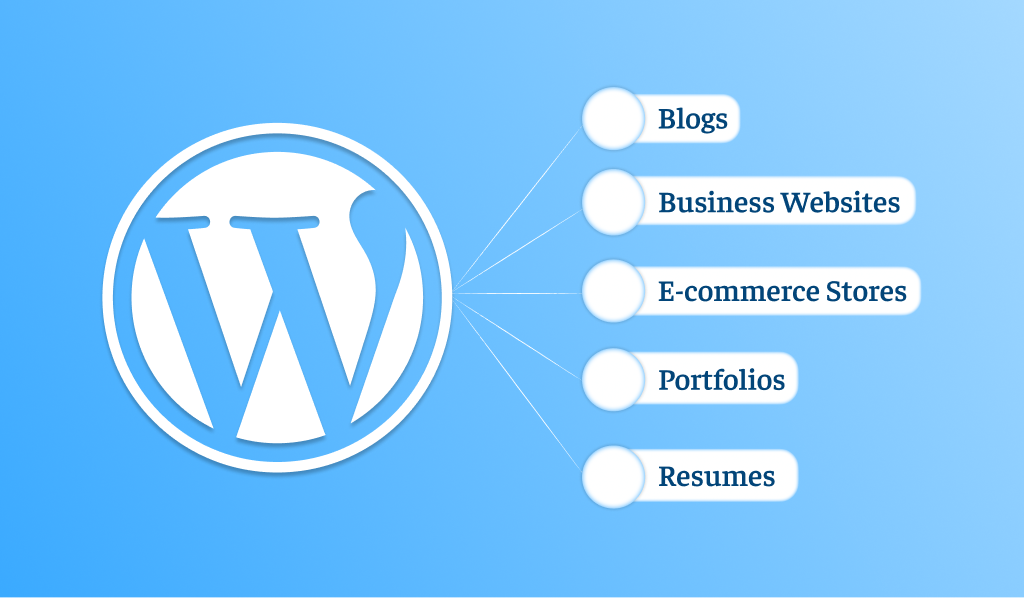 What Websites Can We Create Using WordPress