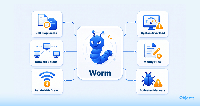 What Do You Mean by Worm?